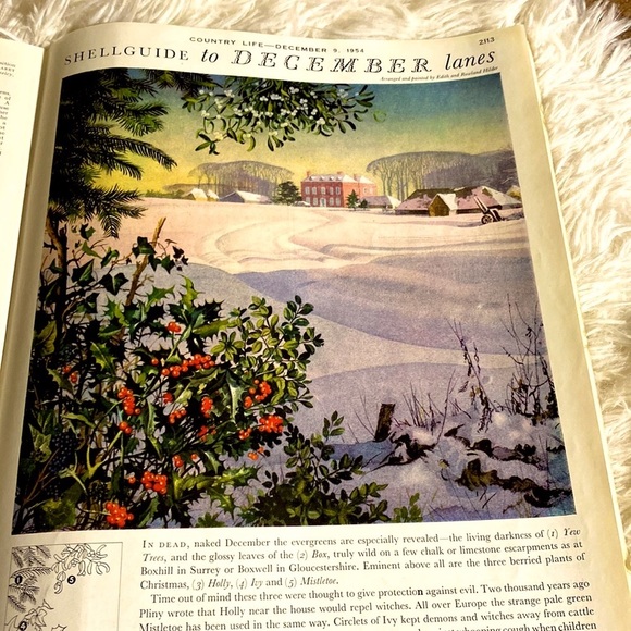 Other - CHRISTMAS COUNTRY LIFE MAGAZINE VINTAGE Christmas Ads December 9, 1954